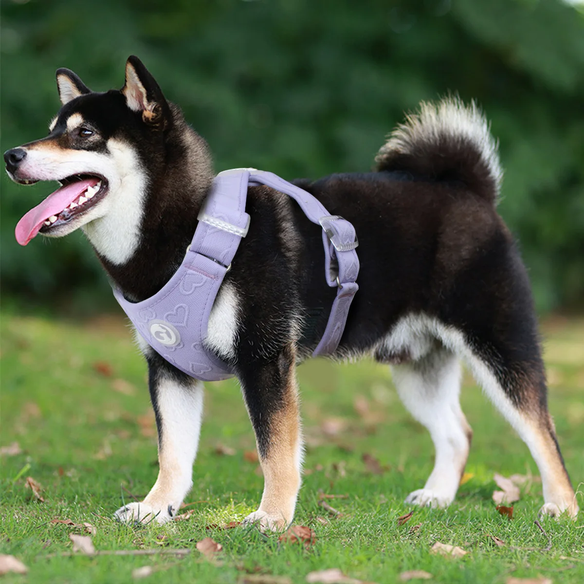 Easy to put on and take off dog chest harness vest style traction rope explosion-proof punching small and medium-sized