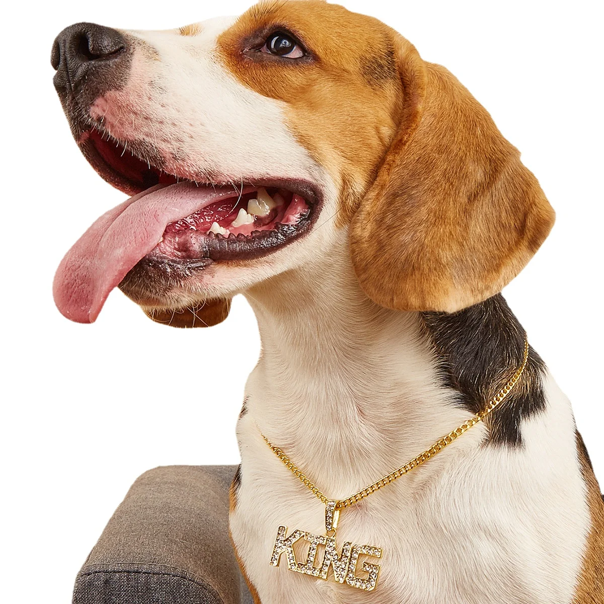 

Pet Collar Gold Diamond Pendant Dog Necklace Personality European and American Dog Collar Pet Jewelry Pet Accessories