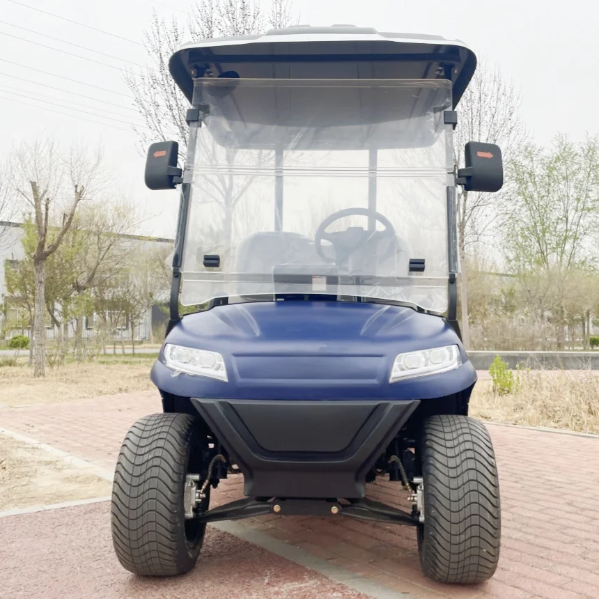 

New Golf Cart 2 Seater Electric Lift Golf Cart Aluminum Alloy Wheel Electric Off-Road Hunting Vehicle