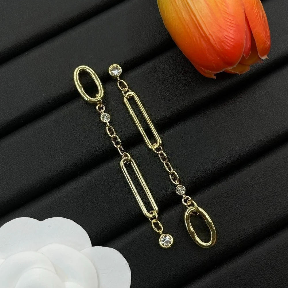 

2025 новые роскошные серьги, изысканная ремесленная форма, витрина для женщин, высококачественные темпераментные шикарные ювелирные изделия премиум-класса