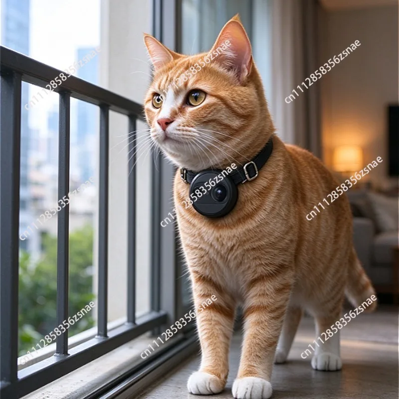 WiFi Pet POV Collar Camera for Cats Dogs, Harness Mount Recorder, Real Time Live Stream Smart Pet Monitoring Camera