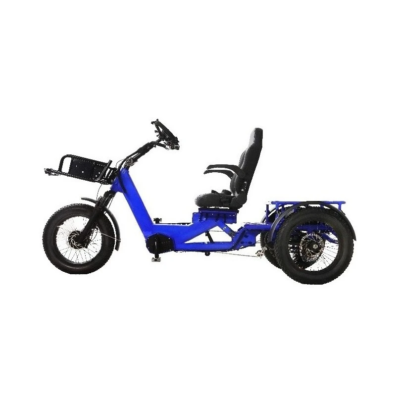 High Power 1750W Dual Motor Cargo E Trike, 48V 60Ah Battery Pack, 3 Wheels Off Road Design, 200KM Long Distance