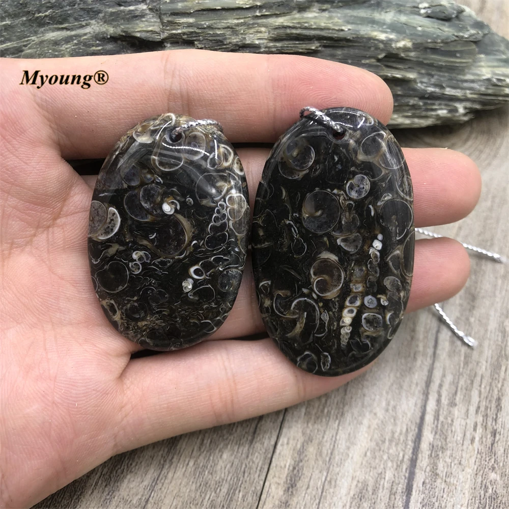 Egg Shape Large Natural Ocean Reliquiae Conch Ammonite Fossils Stone Slice Pendant MY221017