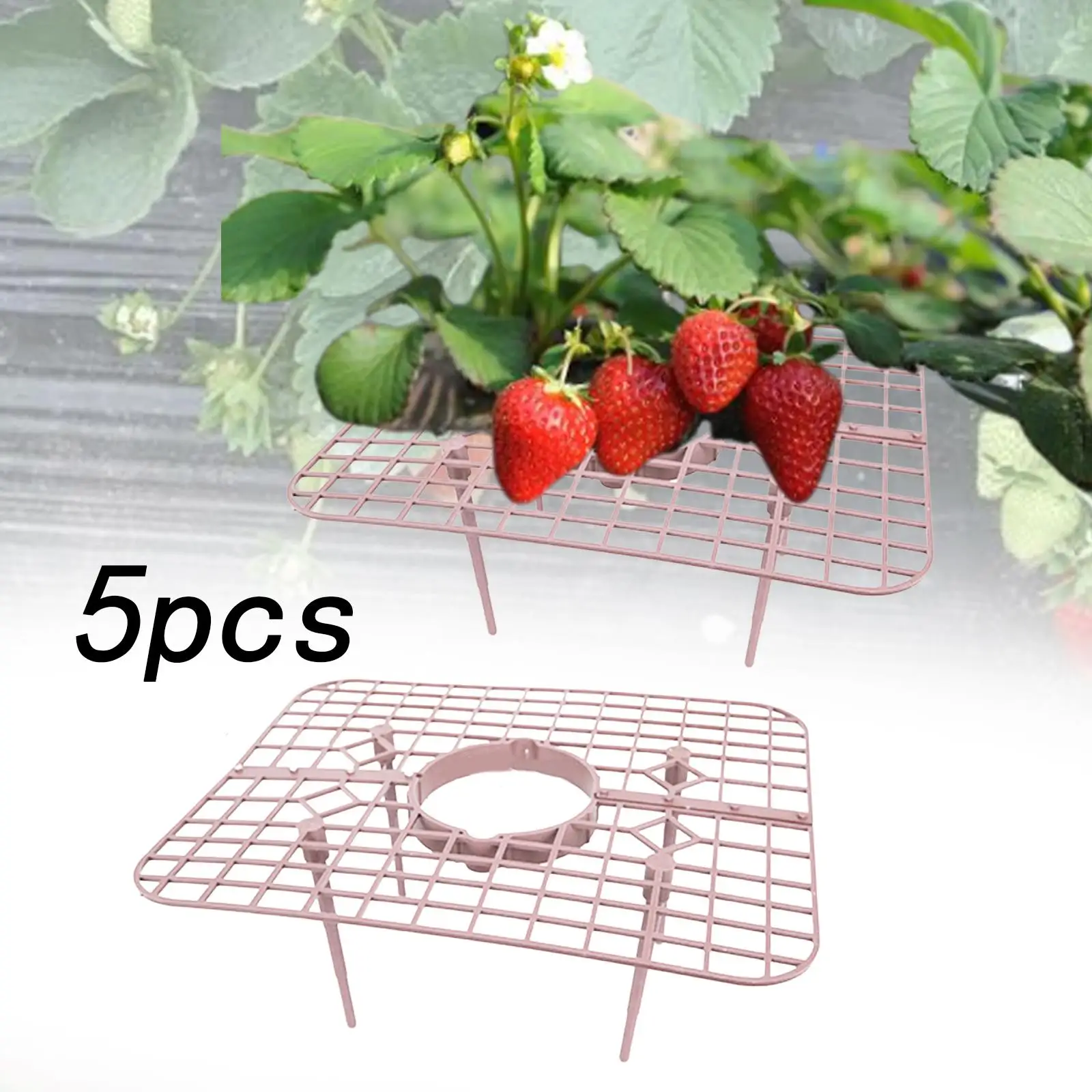 5x Strawberry Plant Supports Stand Frame Lawn Outdoor Growing Holder Rack