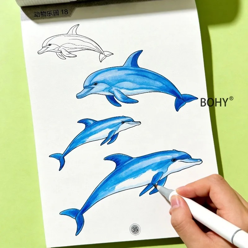 1 Animal Copying and Coloring Exercise Book, Including Themes As Elephants, Dolphins, Dinosaurs, Koalas, Crocodiles, 40 Pages