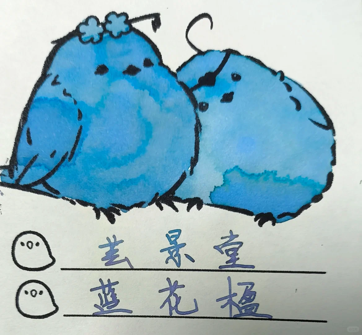 Yunjingtang Blue Jacaranda Fountain Pen Ink ，Shading Ink 20ml