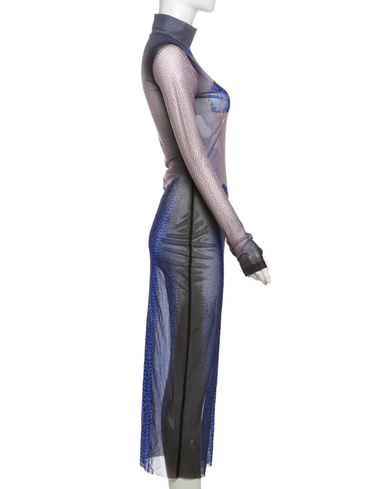 Whatiwear Mesh See Through Jurk Dames Coltrui Bloemenprint Volledige mouw Trend Sexy Koket Club Party Stretch Lange Bodycon