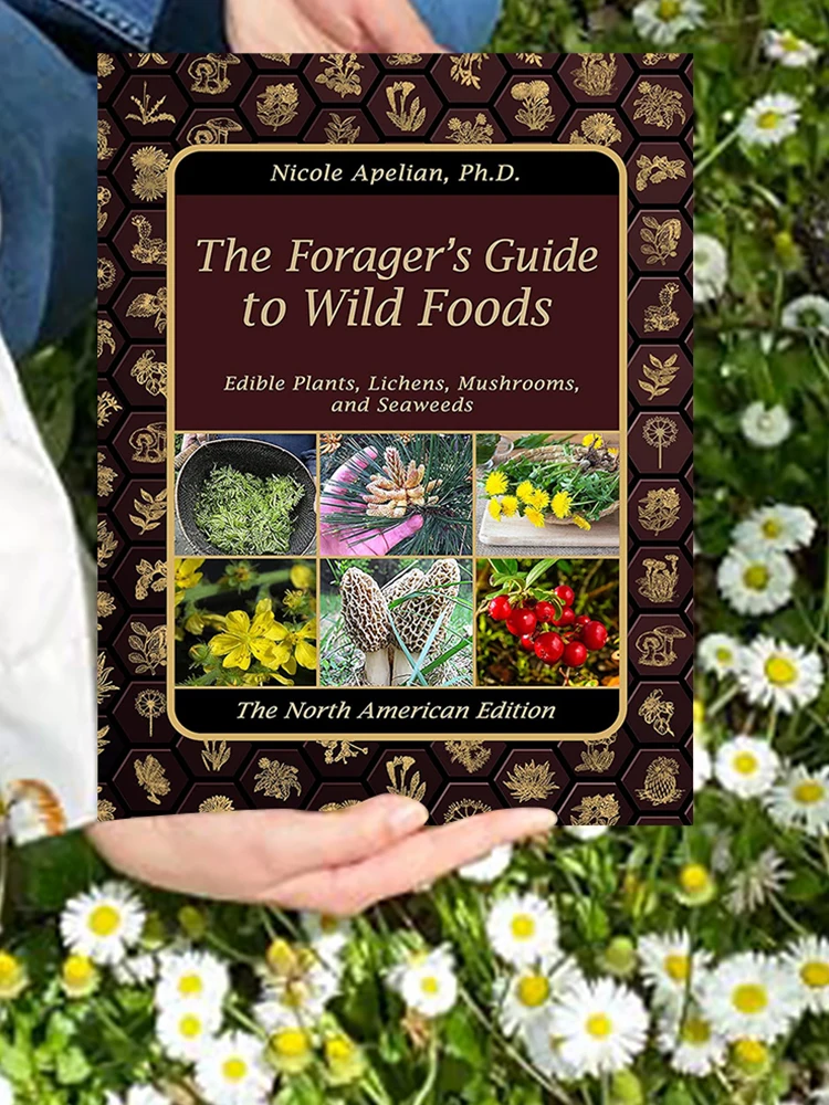 The Foragers Guide To Wild Foods Paperback Books Color Inner Pages Guide Book To Wild Foods Guide To Edible Wild Plants