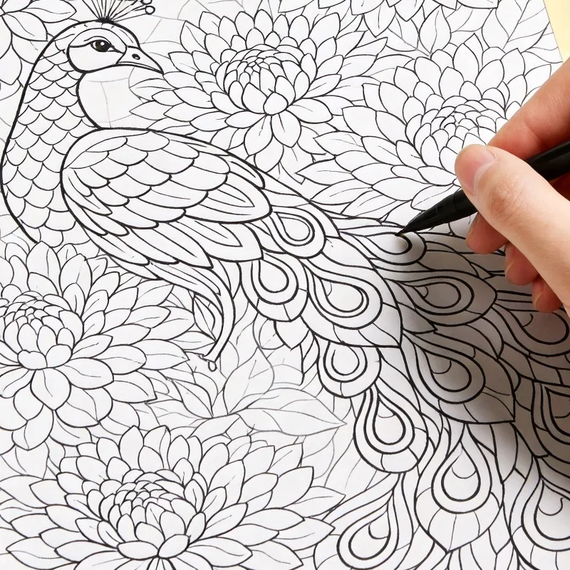A Hand Drawn Coloring Book for Adults To Relieve Anxiety and Calm Down, A Copy Line Drawing Coloring Book 24 Pages Excluding Pen