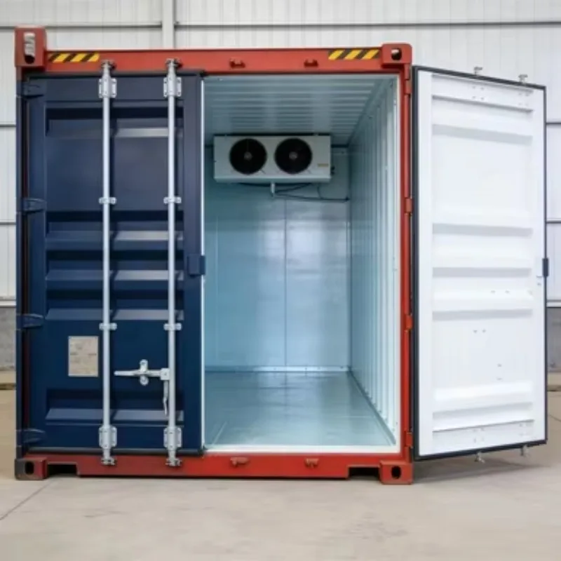 20FT Solar Cold Storage Container Energy Independent for Island Customized