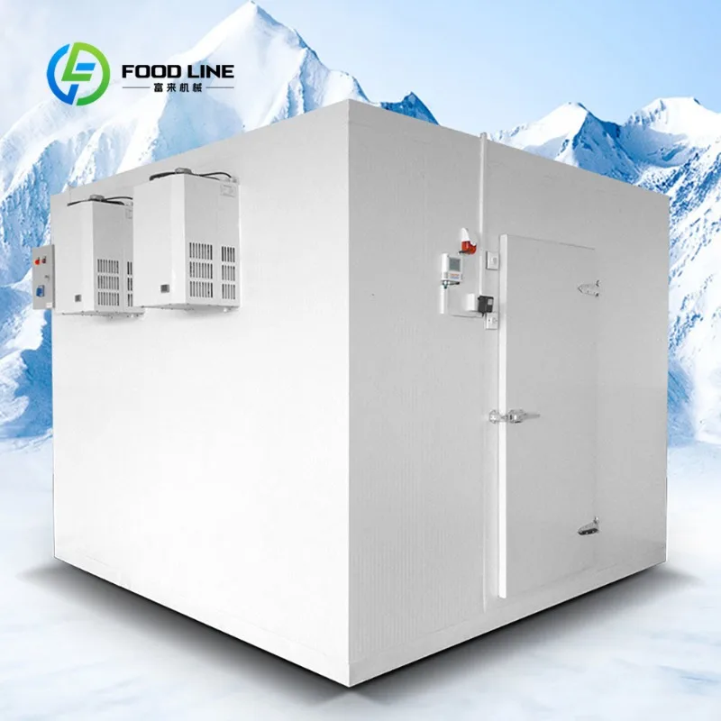 Custom Mobile Cold Room Container Commercial Walk-In Freezer Storage For Fish Vegetables Energy Efficient Refrigerator Trailer