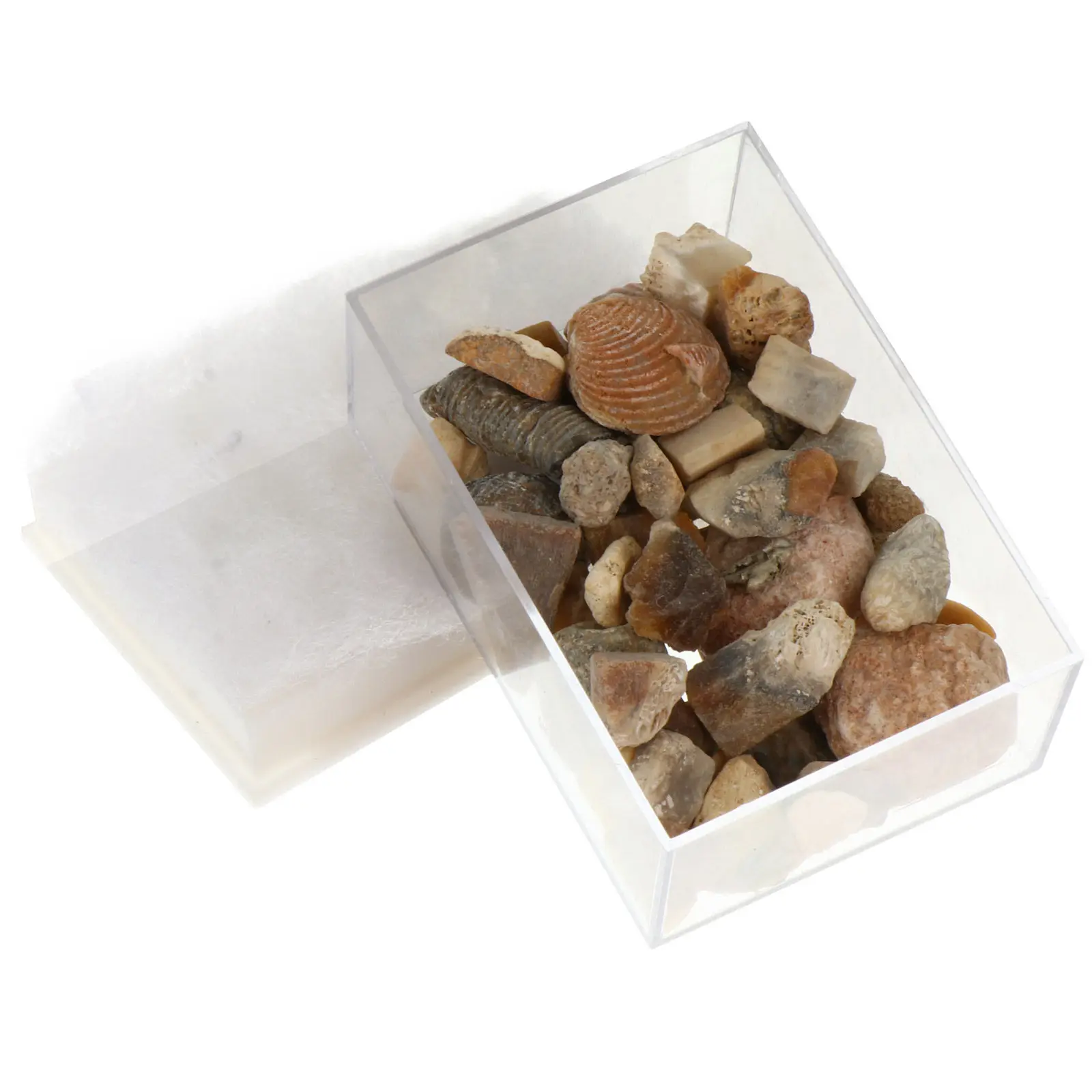 

1 Box Minerals Natural Ore Stone Samples Collection Natural Mineral Teaching Tool Minerals Specimens Ore Stones