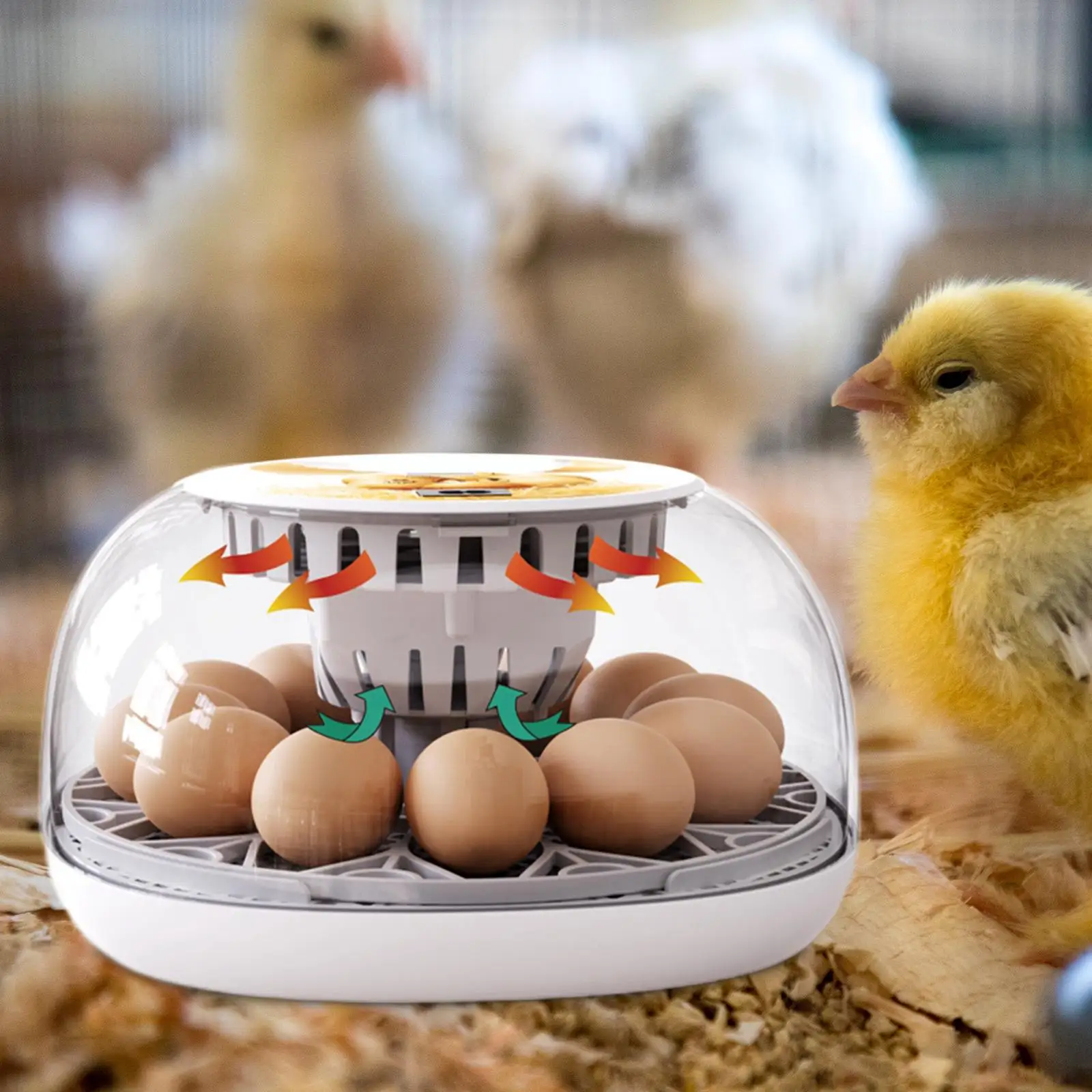 12 Eggs Incubator Manual Egg Turner Clear Cover Chick Incubator Temperature Control Chicken Hatcher for Quail Duck