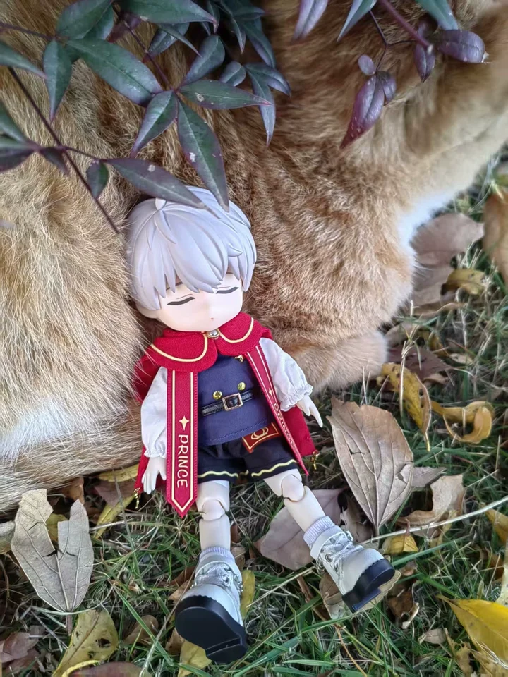 

Ob11 Doll Clothes Little Prince Cloak Crown Set For 12 Scale Bjd Gsc Uf Fairy Body A Si 2 European Style Doll Outfit