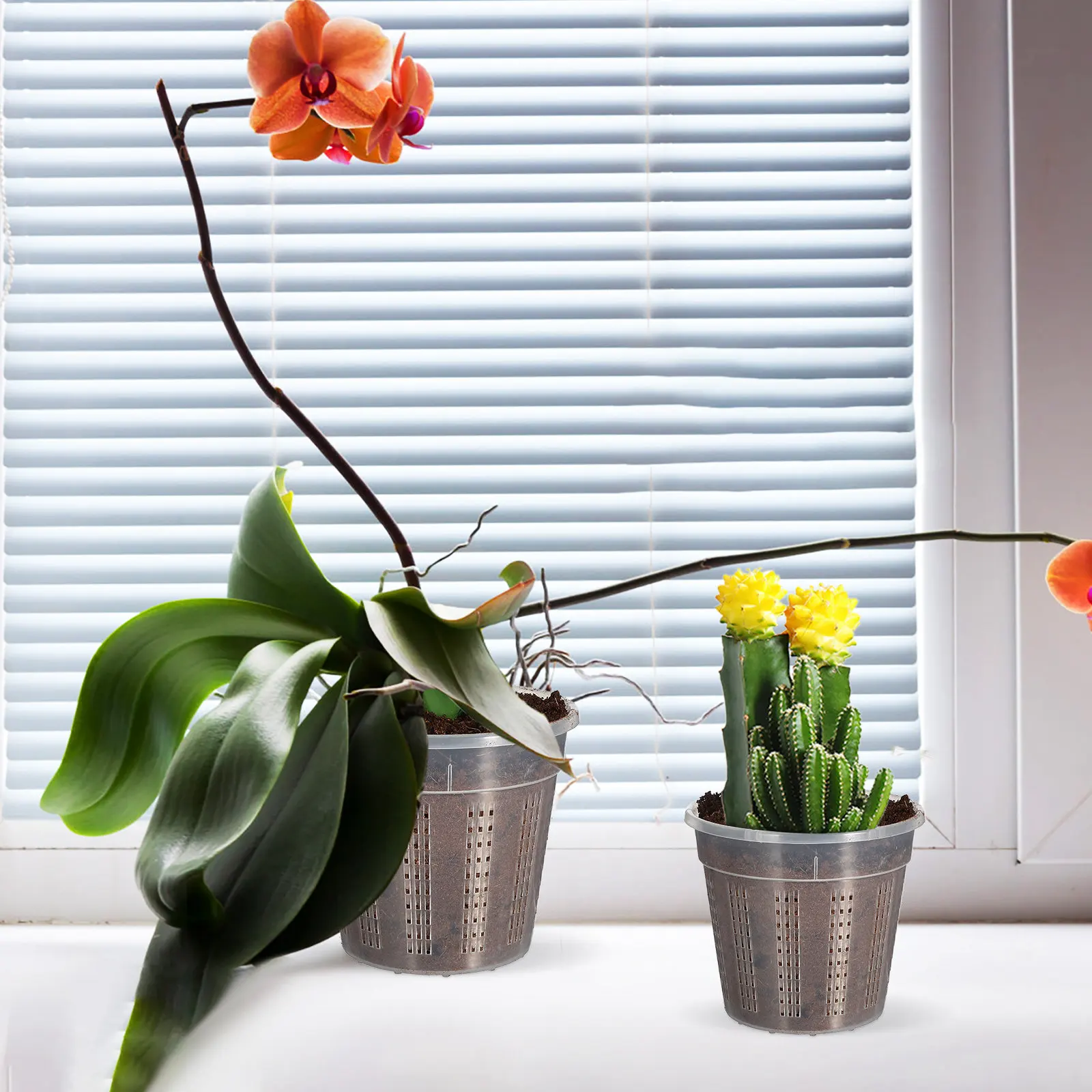 

Набор из 6 прозрачных пластиковых горшков для орхидей с дренажными отверстиями для отличной вентиляции, для комнатных растений