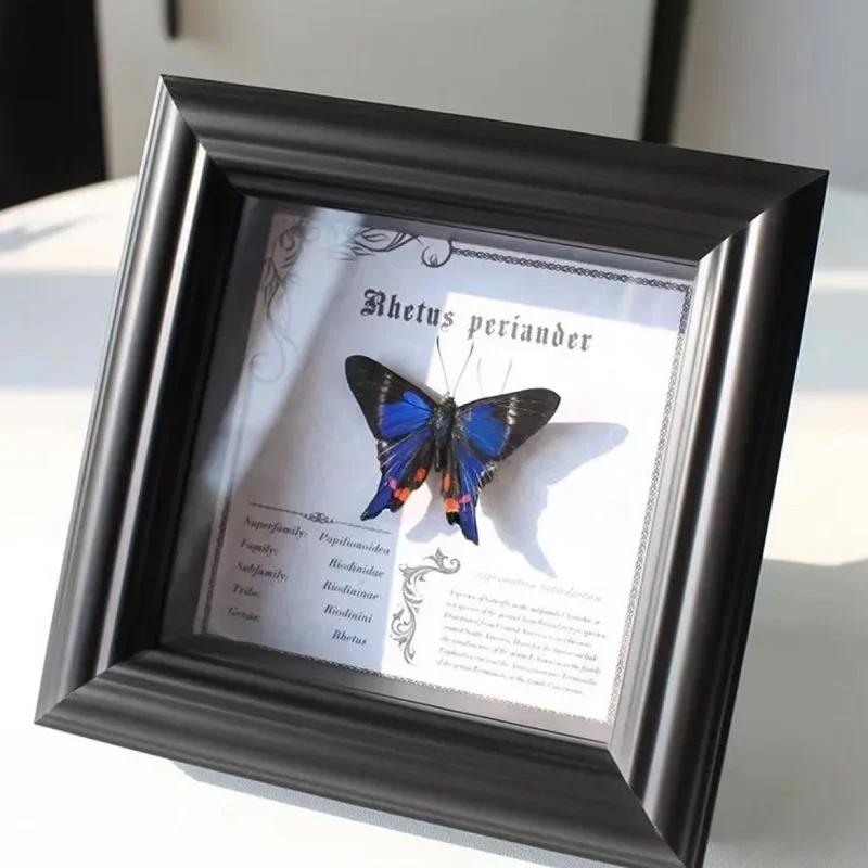 

Hollow Photo Frame, Home Decor, Handmade 2cm Hollow Insect Display Case, Butterfly Specimen Shadow Box Frame,Unforgettable Gift