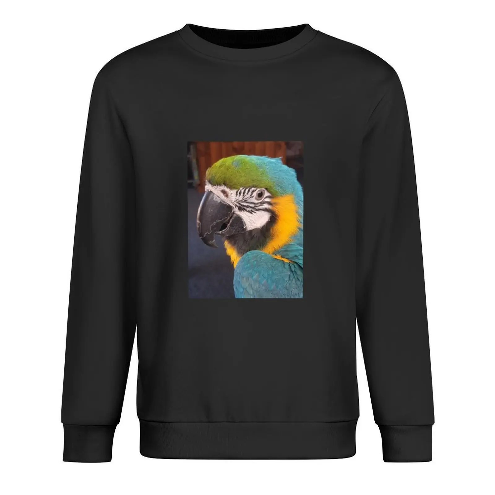 

Gideon the macaw Pullover men clothes tracksuit men wear autumn men's sweatshirts