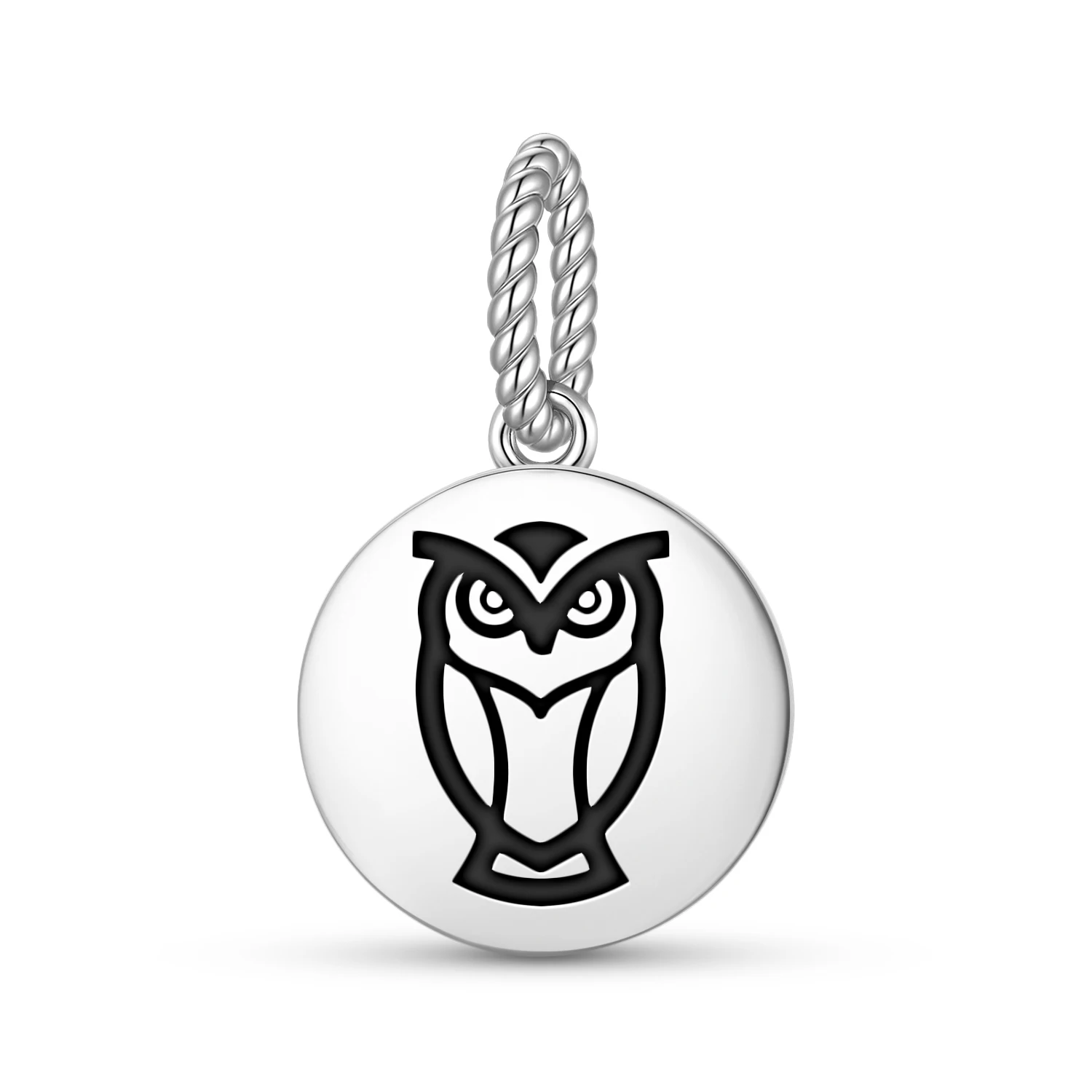

Animal OWL Pendant 925 Sterling Silver Symbol Charm Bead for Women Bracelet Necklace Jewelry Popular