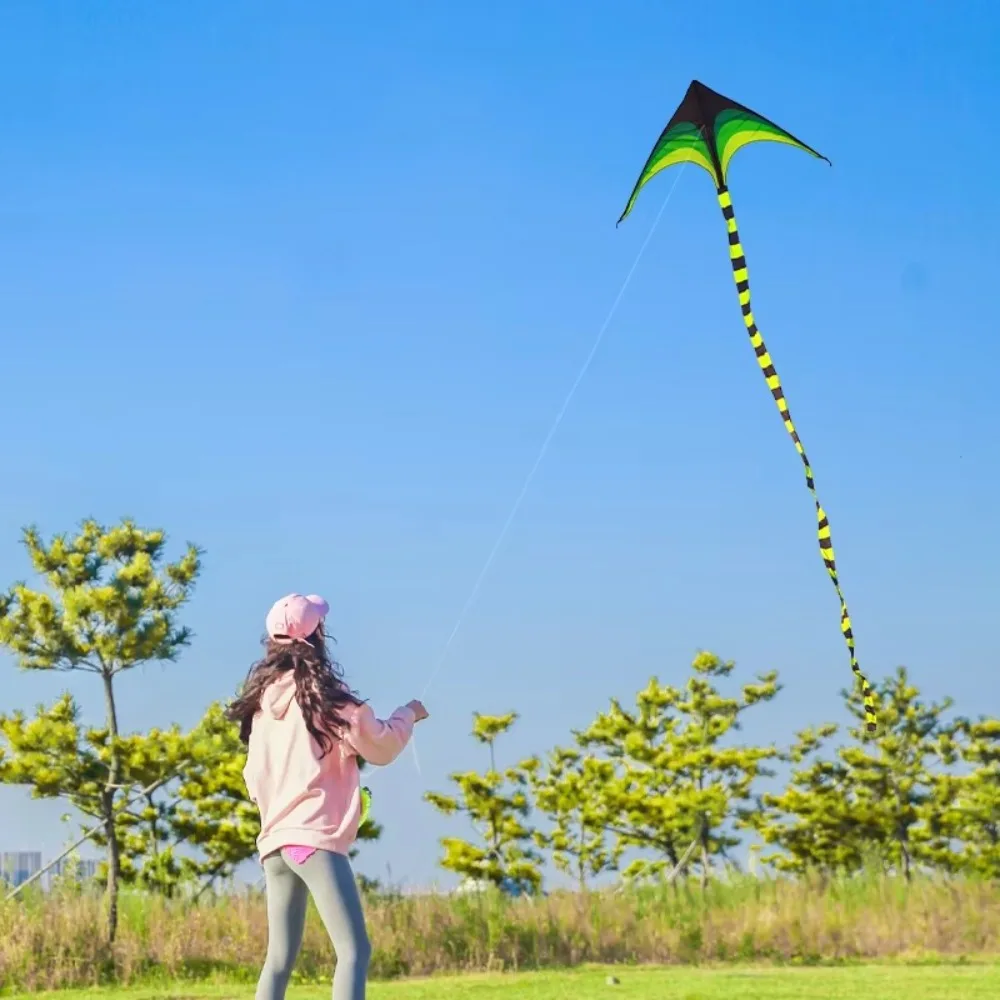 New Easy Fly 1.6m Large Delta Kite with 100M Kite Line Long Tail Good Flying Kite Ripstop Children Outdoor Toys Kites Fun Sports