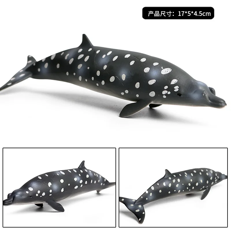 Juguete de modelo de animal marino para niños, juguete de cognición sólida, tiburón ballena, ballena de pico medio de Brandt, benthos