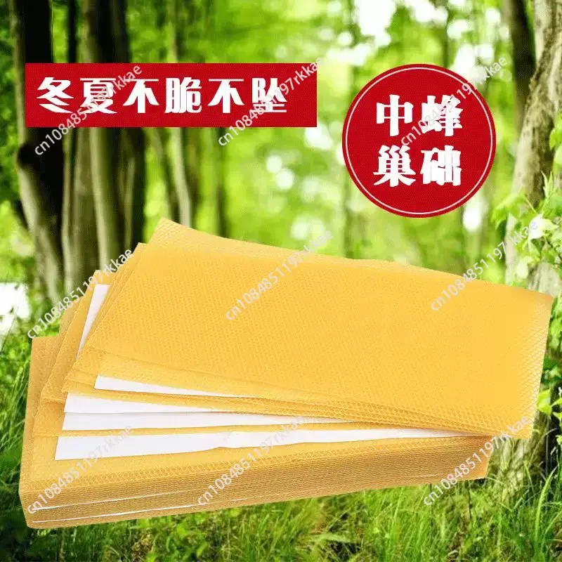 30pcs Honeycomb Wax Frames Beehive Base Sheets Beekeeping Foundation Honey Hive Equipment Bee Supplies