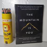 The Mountain Is You: Novels And Books