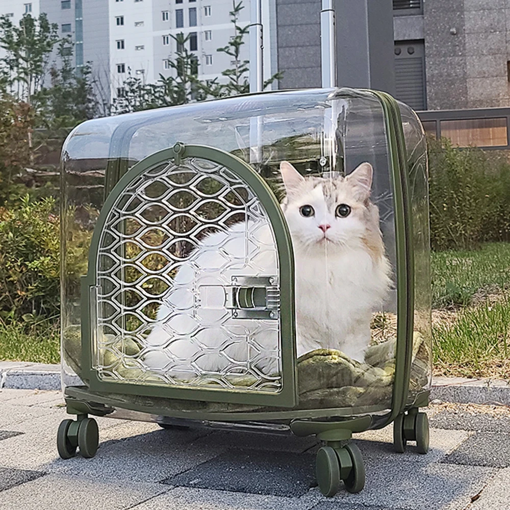 

Переноска для домашних животных для собак и кошек, прозрачная, удобная, легко раздвижная, прочная, моющаяся, легкая