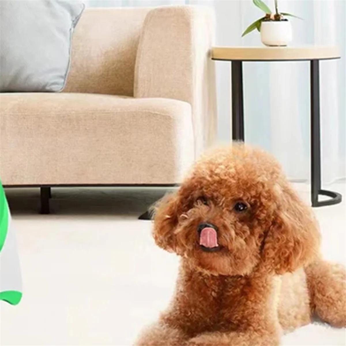 

Интерактивная машина Baby-Fun, забавная интерактивная катапульта, перезаряжаемая пусковая установка для теннисных мячей для собак, автоматические игрушки для погони собак