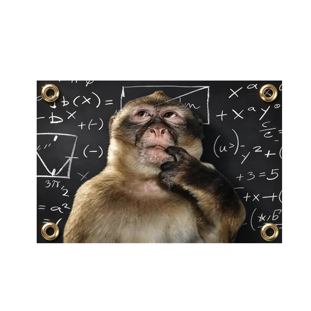 2x3ft 3x5ft Funny Thinking Monkey Meme Tapestry Aesthetic Animal Wall Hanging Quirky Home Decor for Bedroom Living Room Dorm