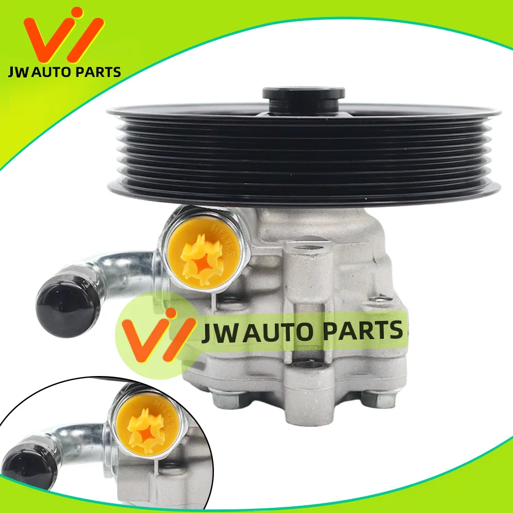 Power Steering Pump For Chevrolet Caprice Pontiac Pontiac G8 Holden Commodore VE 92174214 19318665 92260526 92267876 92121134