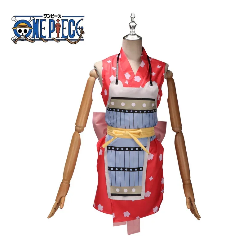 4 pièces Anime Nami Cosplay Fantasia Costume perruque robe adulte femmes hommes déguisement fantaisie tenues femme Halloween carnaval Costume