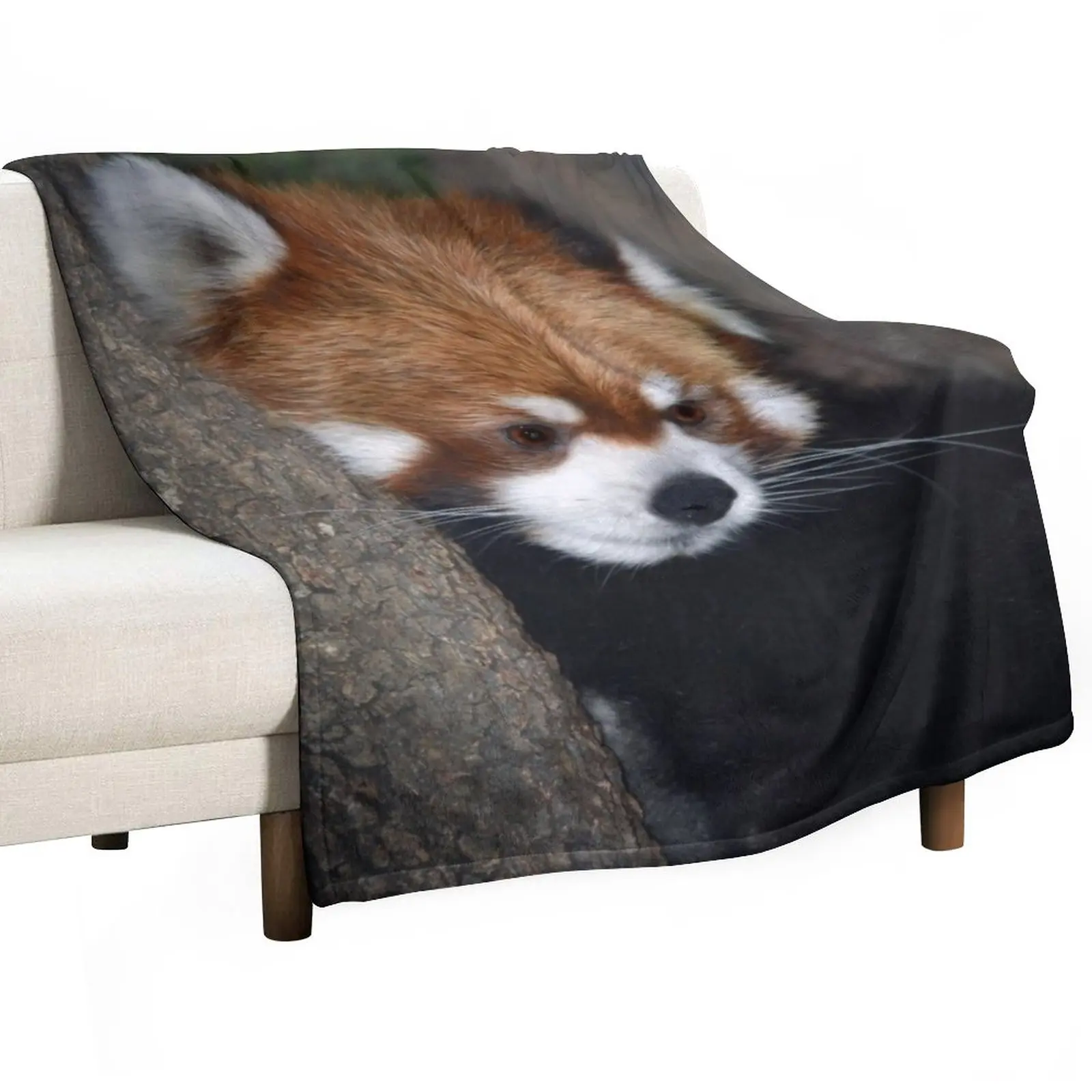 

Red Panda Throw Blanket Blanket Sofa valentine gift ideas Decorative Blankets Furry Blanket