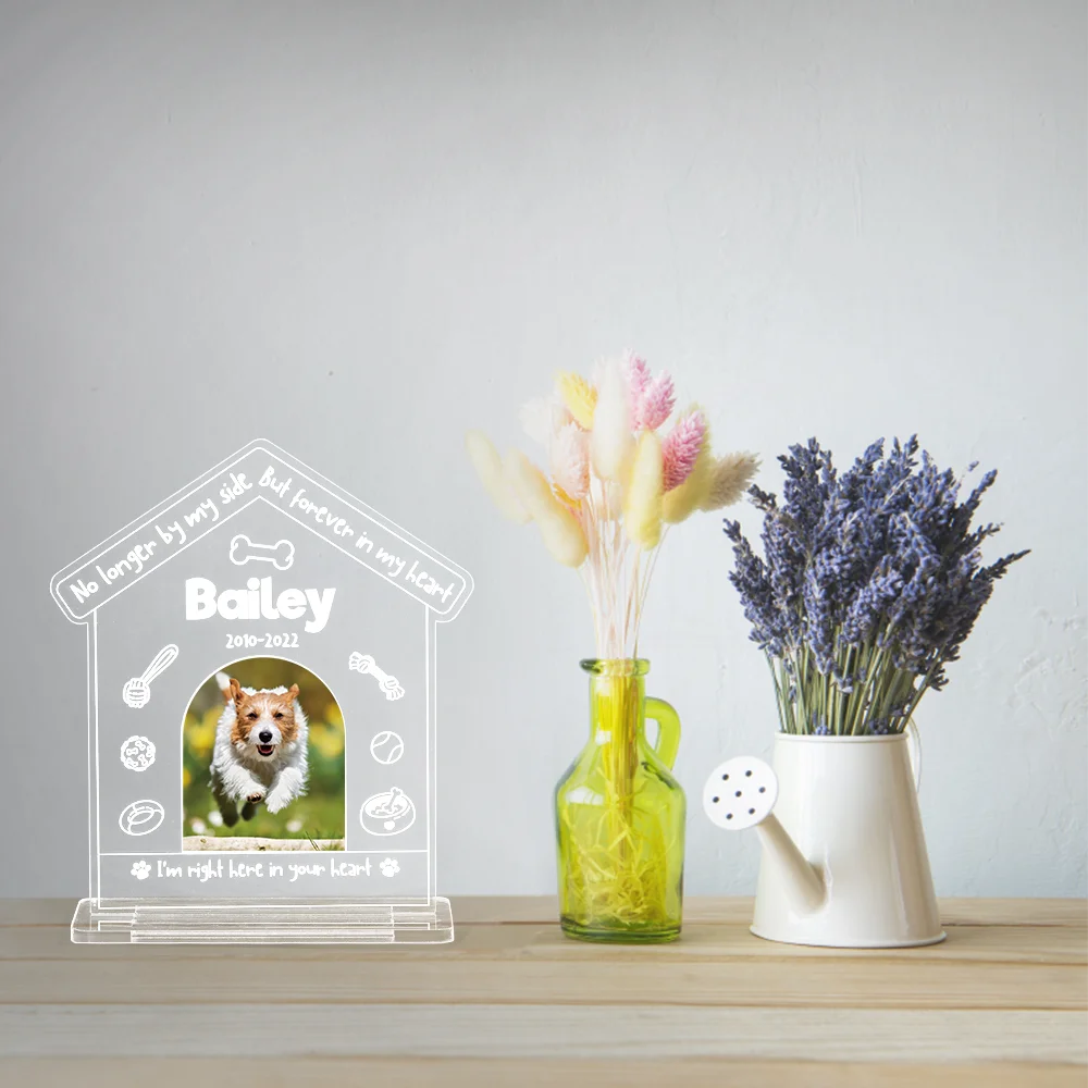 Personalized Dog Memorial Gifts for Loss of Pet Memorial Gifts for Dog Cat, Personalized Night Light Dog Memorial Photo Plaque D