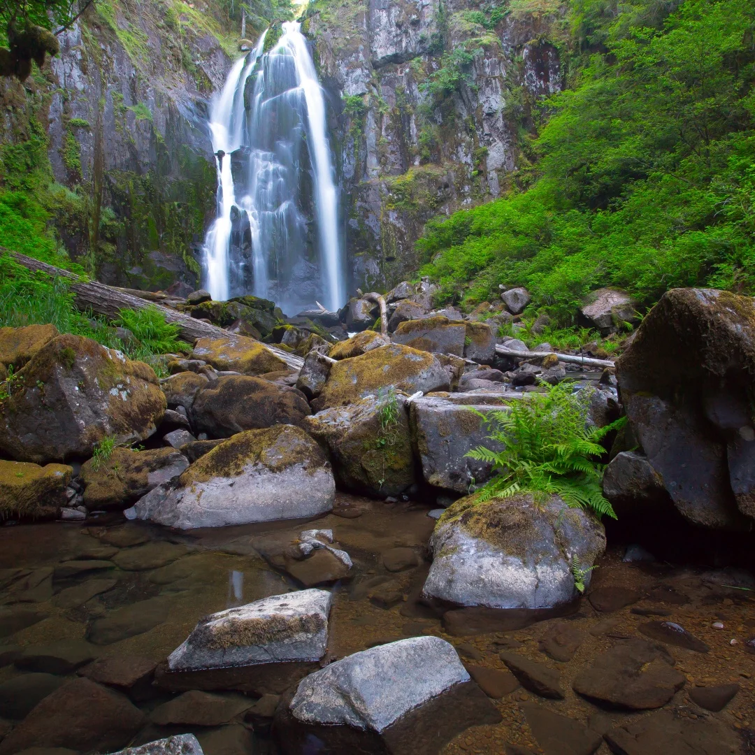 

9.7"Android Radio For Ford Mustang 2015-2022 Multimedia Player Wireless CarPlay Touch Screen Head unit Auto Stereo