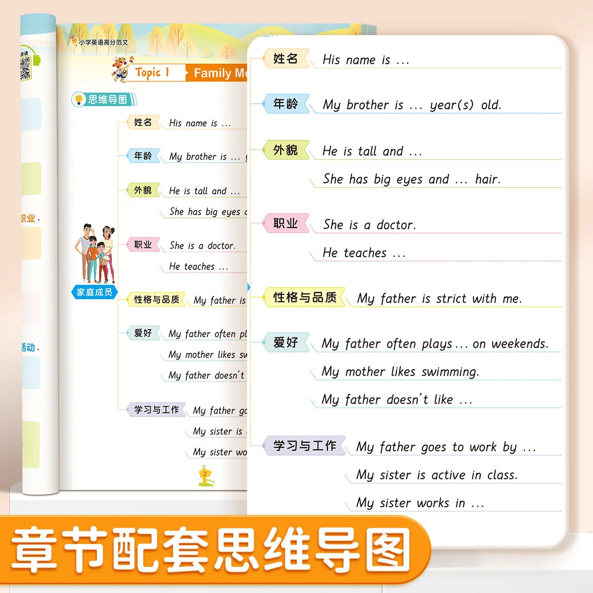 High Score Elementary School English Essay, People's Education Press, Beautiful Writing Materials, Sentence Accumulation