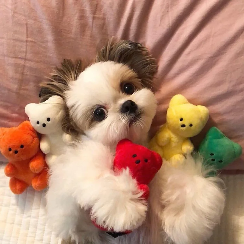 Cute Small Dog Squeaky Toys for Small Dogs Puppy Bear Shaped Squeak Toy for Cat Dogs Pet Supplies Pomeranian Teddy Shih Tzu Pug