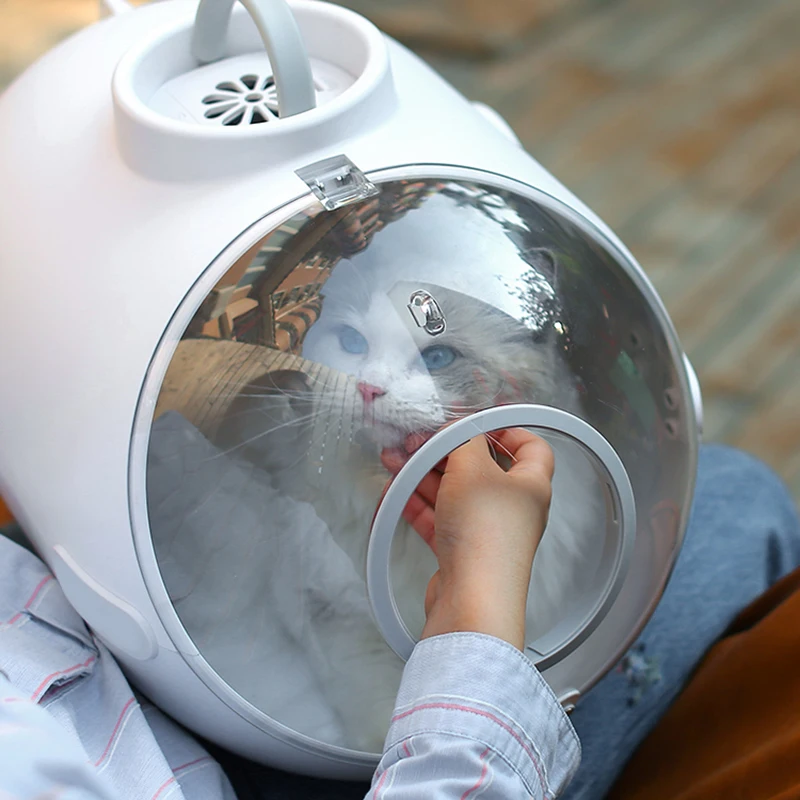 Рисунок 6 - Новое поступление