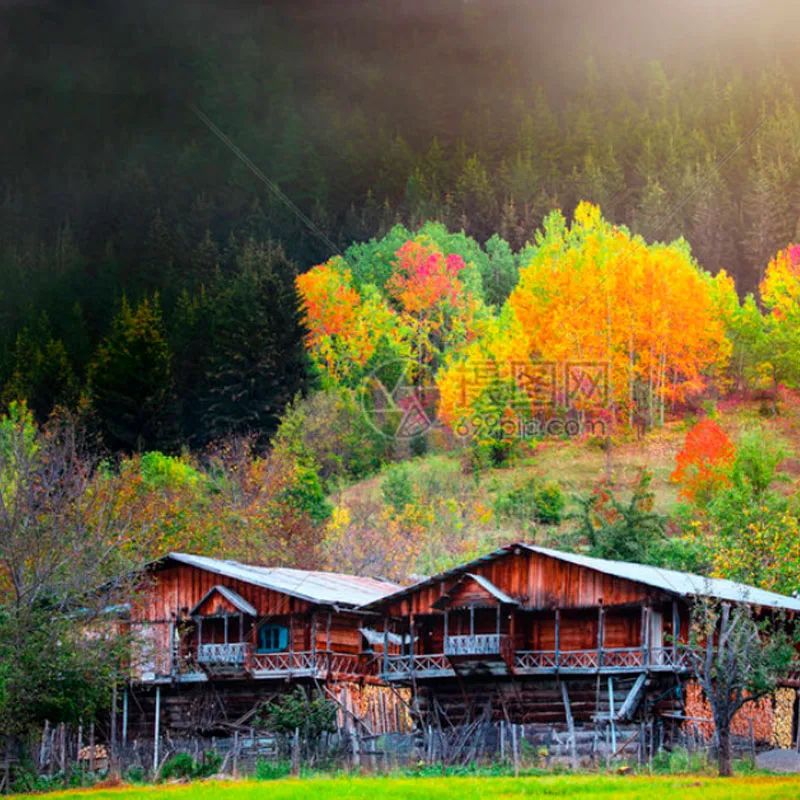 

KST DS589MG 9.2KG Swashplate Micro Digital Servo For Goblin 500 / 500 Sport RC Helicopter RC Car Robot Arm Airplane Part