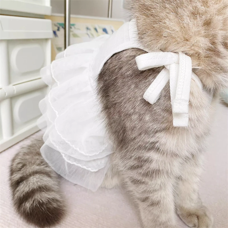 ملابس الحيوانات الأليفة فستان أبيض بأشرطة تشيهواهوا ملابس كلب وقطط مالطية صغيرة #6