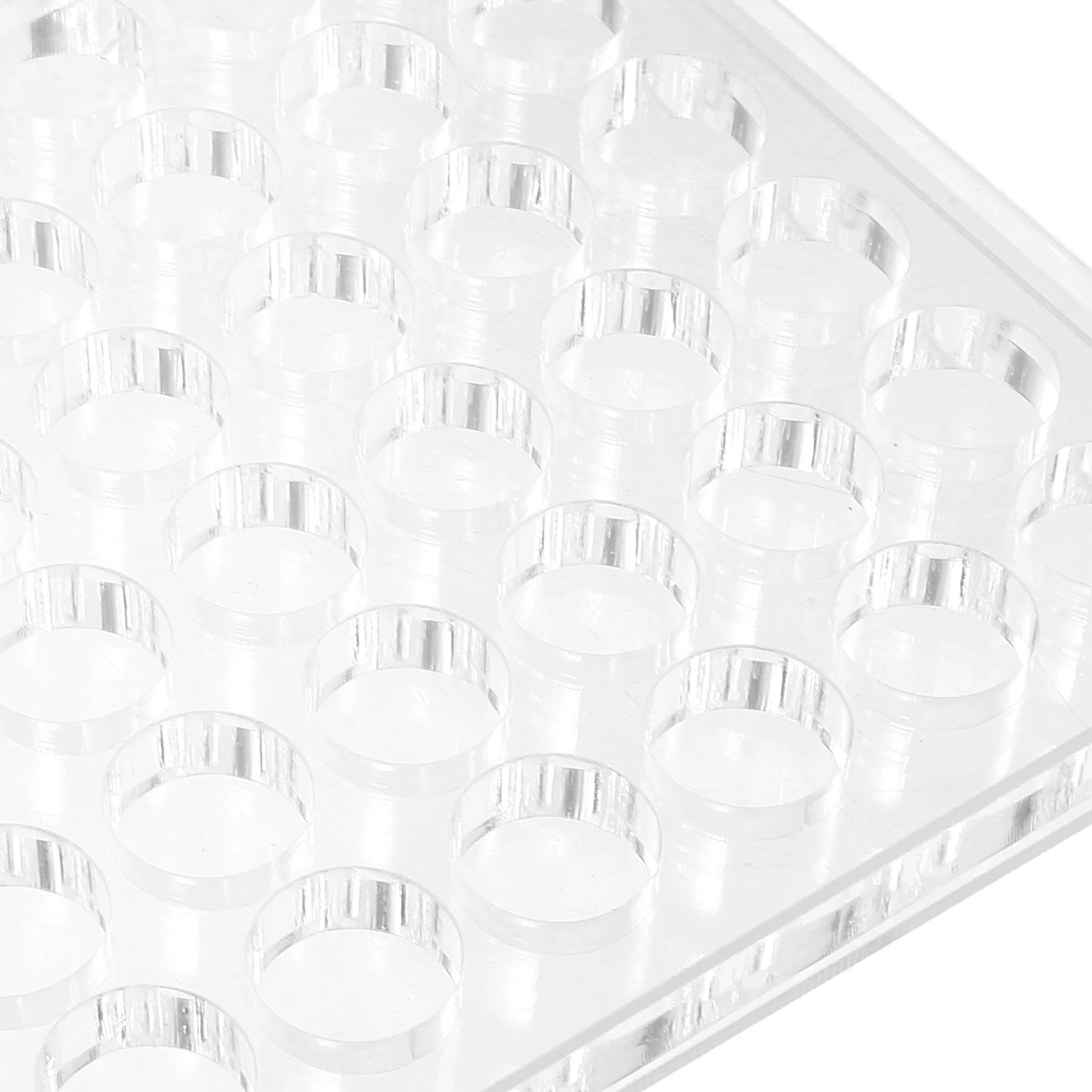 

1pcs Acrylic Seashell Display Box 3.5 Inch Transparent Round Grid Specimen Storage Case For Shells Jewelry Bead Sorting