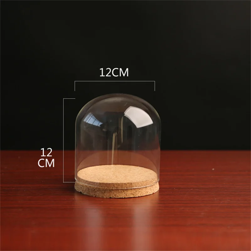 24 X Dia12cm Clear Glass Display Dome Cover Cloche Bell Jar Succulent Terrariums with Wood Cork for Home Office Table Decor DIY