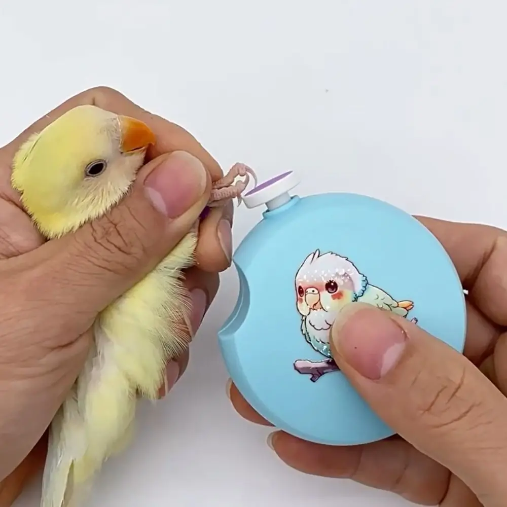 

Portable Low Noise Electric Parrot Nail Trimmer Round Mini Bird Nail Cutter with 6 Grinding Heads Parrot Beak Grinder Bird Paw