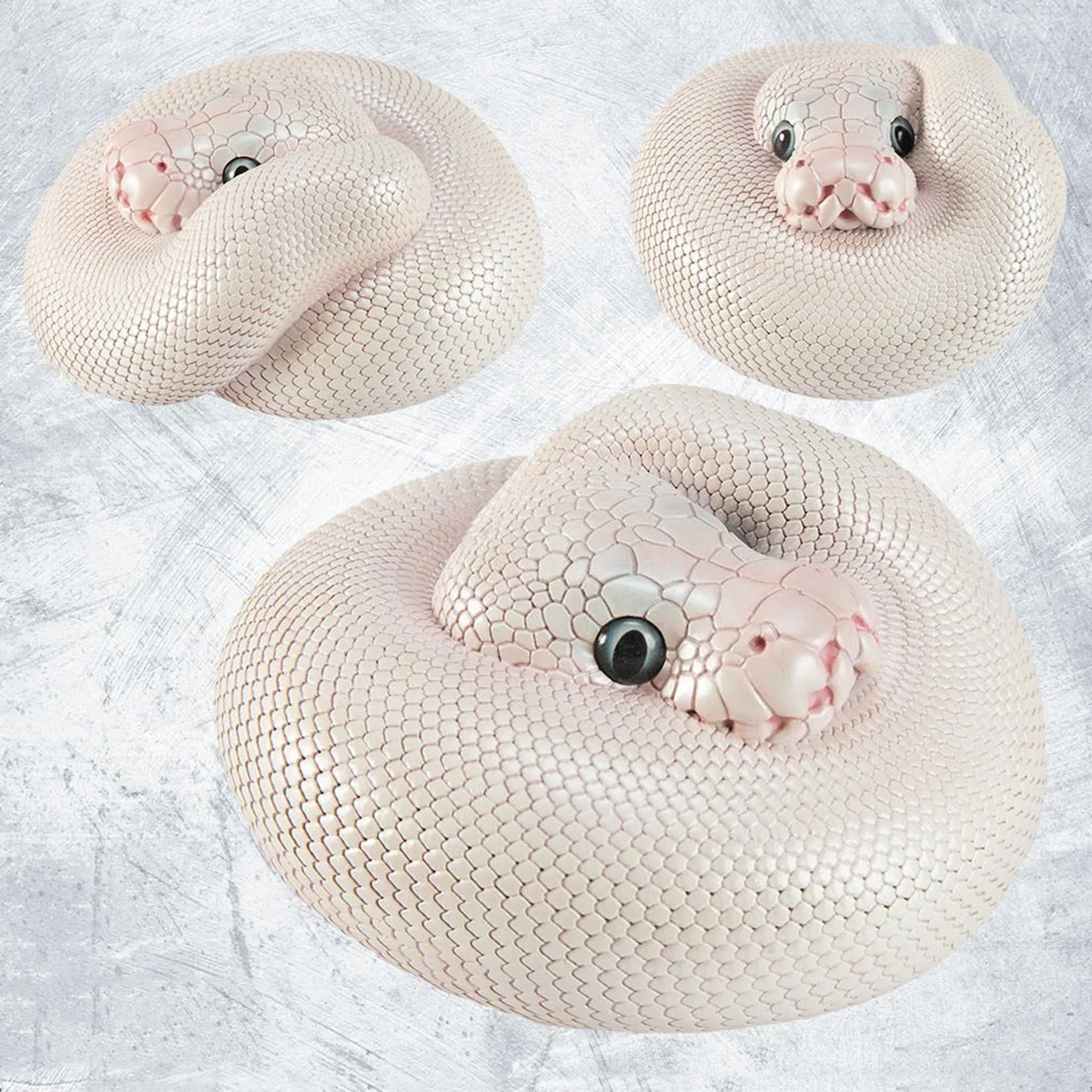 

Animal Heavenly Body Studio Python Regius Blue-Eyed Leucistic Plus Model Ball Python Snake Animal Collection Realistic Decor
