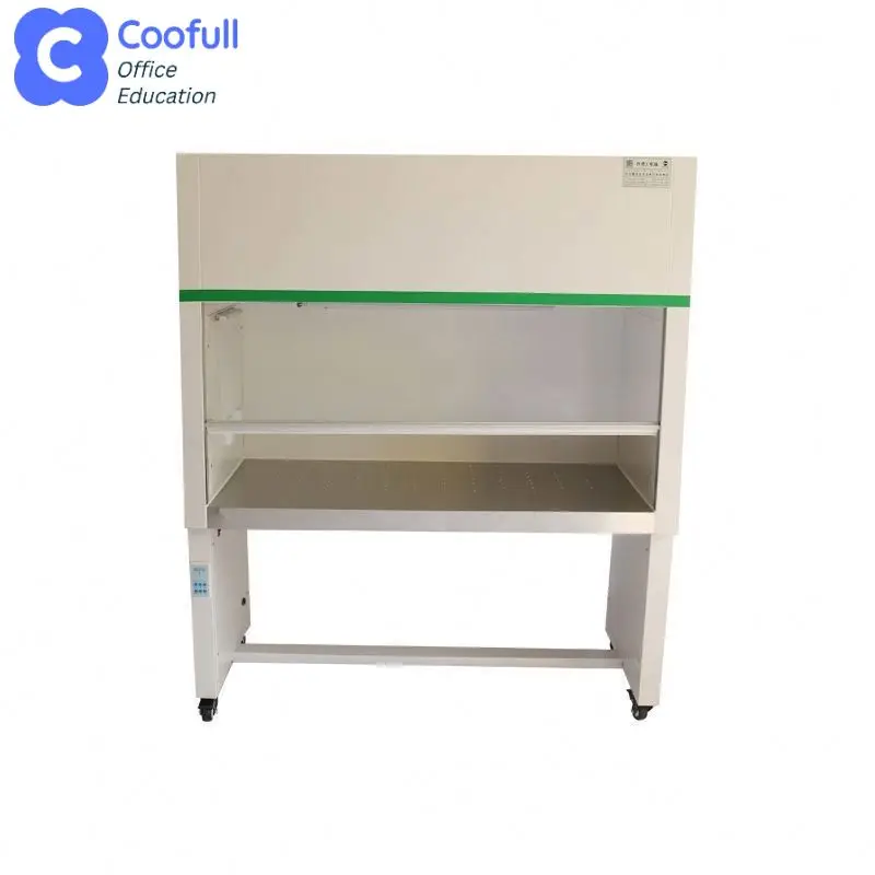 

Laminar Flow Hood with Blower & HEPA Filter, OEM Custom Clean Bench for Lab, Competitive Factory Price