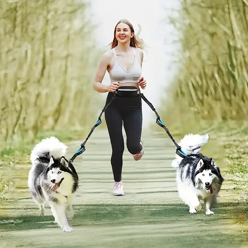 Adjustable Hands-Free Dog Running Leash with Double Handles and Elastic Retractable Rope for Large and Medium Dogs - Perfect for