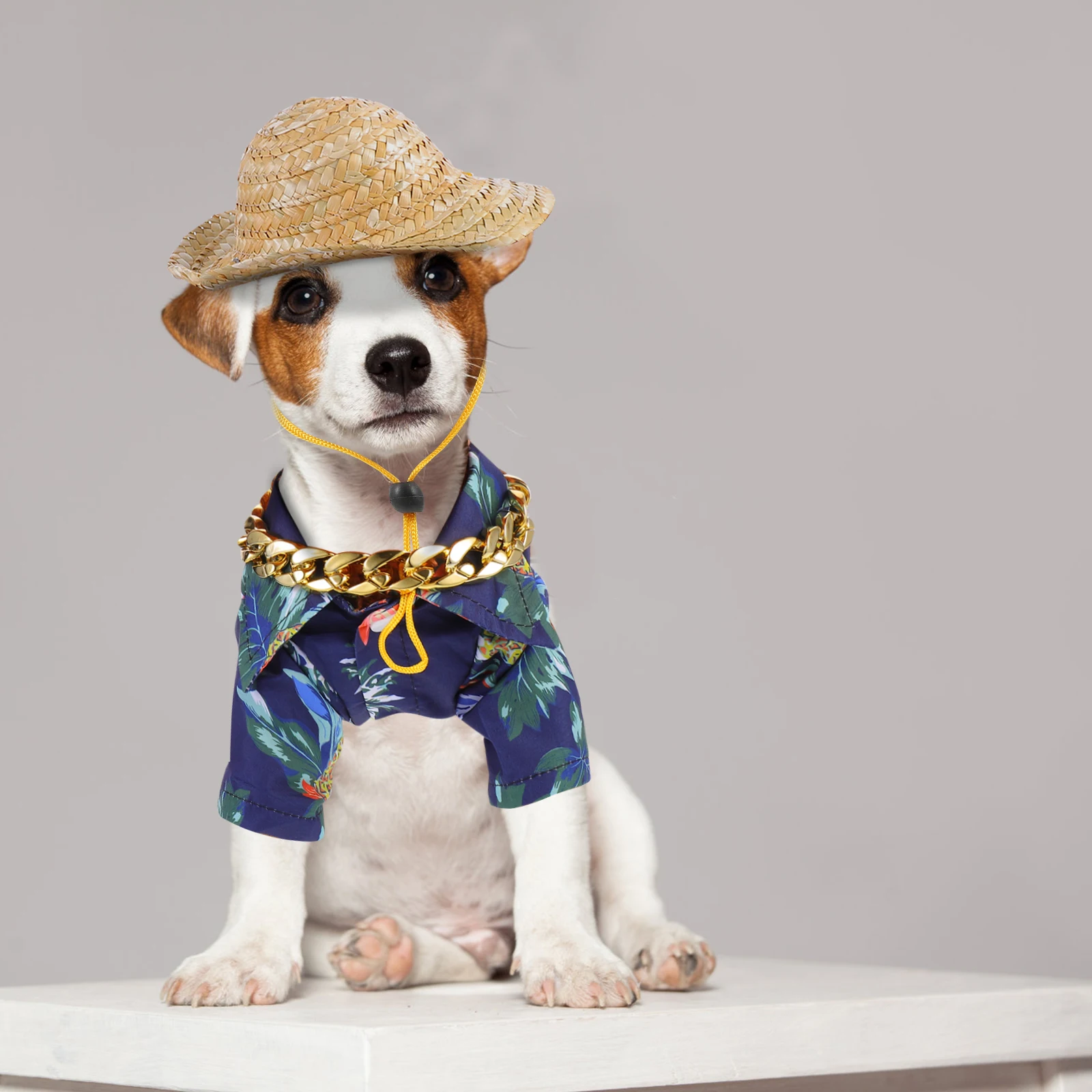 

3 Pcs Pet Straw Hat H woven Dog Costume Necklace Sunglasses for Puppy Cat Sun Protection Beach Party Accessories Set Lightweight