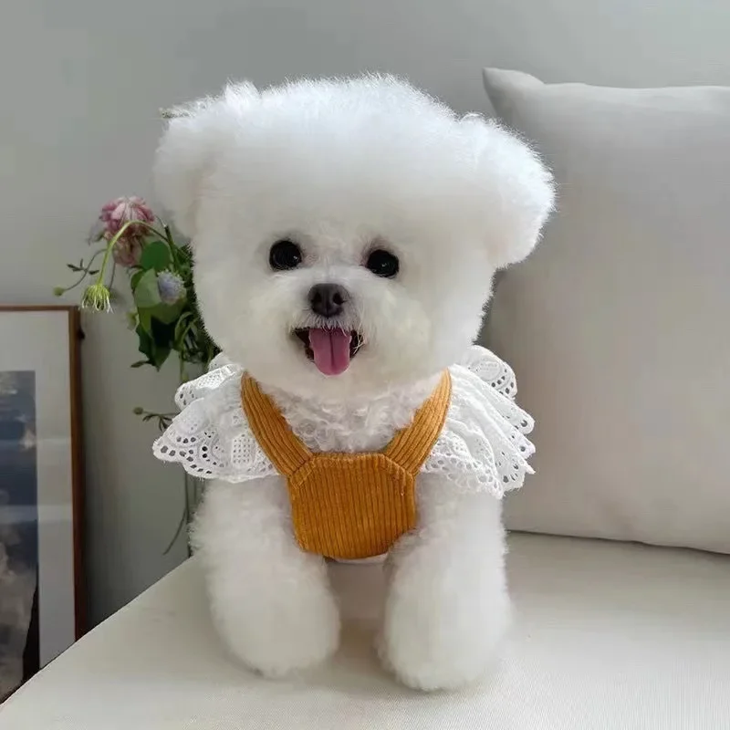 Pet Clothing Autumn/Winter New Corduroy Pumpkin Skirt Pulling Buckle Teddy Cat Warm Lace Skirt Puppy Dresses for Small Dogs