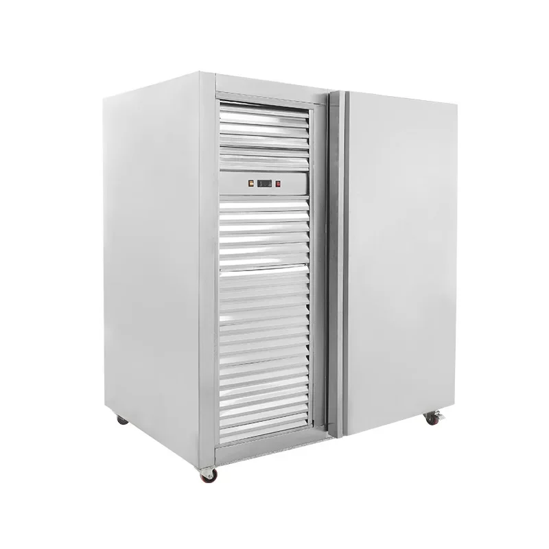 Large Capacity Commercial Portable Freezer with LED Light and Wheels for Restaurant CE Certified 1000*940*2200mm