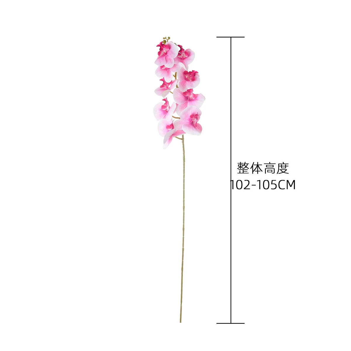 Mehrfarbige, echt anfühlende künstliche Phalaenopsis-Orchidee, 105 cm langer Stiel, künstliche Seidenblume für Heimdekoration, Hochzeitsdekoration. – Detail 1
