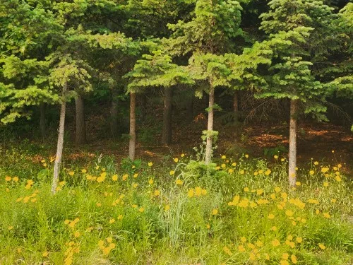 리뷰 사진